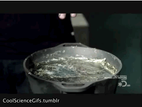 chemistry,mythbusters,physics,science s,myth busters,amazing science s,leidenfrost effect,ble burning a