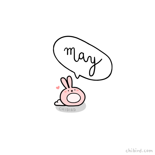 bunny,chibird,fidgety,may,animation,art,cute