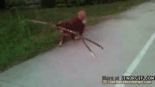 dog,animals,the lord of the rings,stick,barrier