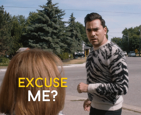 david rose,schitts creek,who are you,dan levy,daniel levy,funny,comedy,humour,cbc,canadian,schittscreek,excuse me,levy,im like 999 sure of it