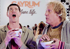 dumb and dumber,jim carrey,jeff daniels,dumb and dumber to,harry dunne,patsys s,llyod christmas