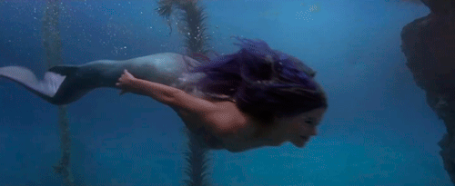 fairy tail,mairmaid,purple,ocean,fairy,water,blue,beautiful,sea,fish,swim,maxine cooper