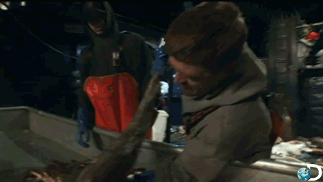 bering sea,tv,funny,lol,television,comedy,ocean,fish,entertainment,reality tv,documentary,fishing,discovery,alaska,discovery channel,deadliest catch,crabs,deadliestcatch