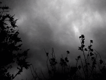 dark,black and white,nature,bw,storm,clouds,own
