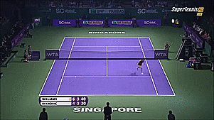 tennis,2014,singapore,serena williams,wta,simona halep,ana ivanovic,eugenie bouchard,bnp paribas,wta championships
