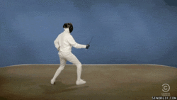 fencing,fighting,attack,funny,sports