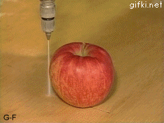 science,apple,cut