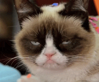 grumpy cat,party cat,party,depressed
