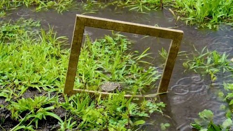 rain,frame,cinemagraph,project,puddle