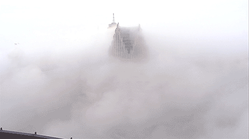 Fog foggy GIF.