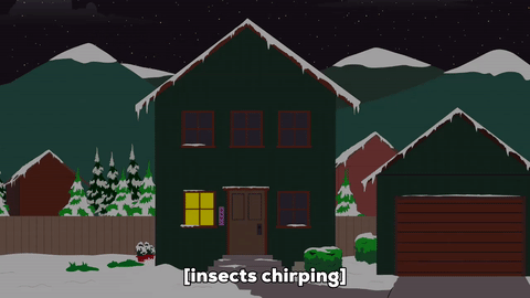 snow,house,insect,garage