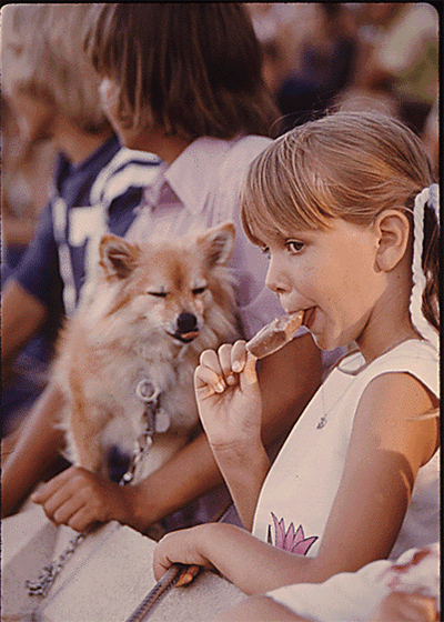 dog,animals,ice cream,vintage,lick,happy dog,cute,girl,children,pets,1970s,fudgesicle,documerica,archive