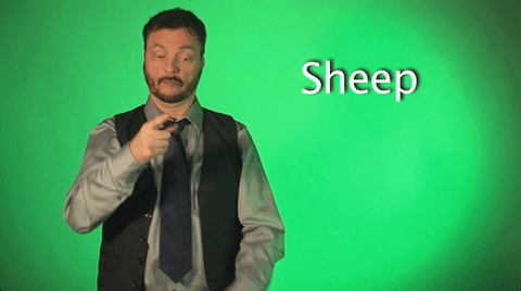 sheep,sign with robert,sign language,deaf,american sign language,swr