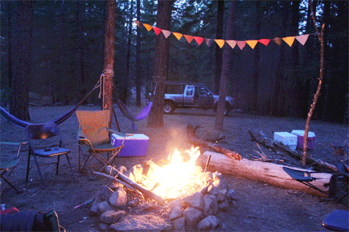 camp fire,summer