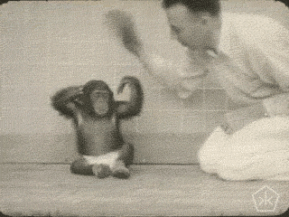 chimpanzee,art,film,black and white,vintage,science,artists on tumblr,human,documentary,experiment,open knowledge,okkult,digital humanities,excerpts