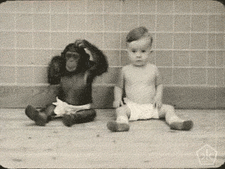 science,chimpanzee,vintage,digital humanities,art,film,black and white,artists on tumblr,human,documentary,experiment,open knowledge,okkult,excerpts