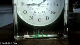 science,weird,home video,clock,growing