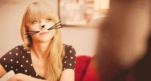 cat,taylor swift,aww,meredith,taylor swift cat,serfbort,blow it out your ass