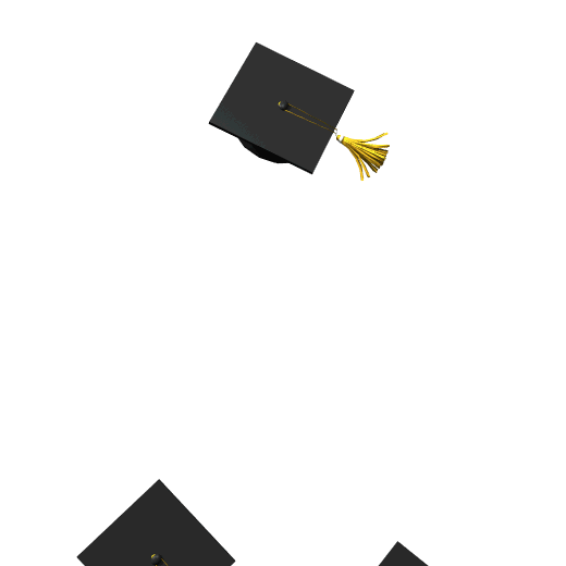 Graduation GIF.