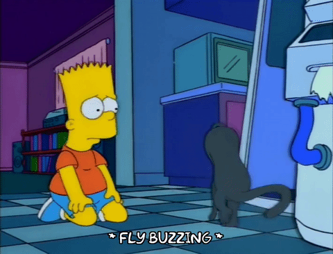 Bart simpson season 9 episode 4 GIF.