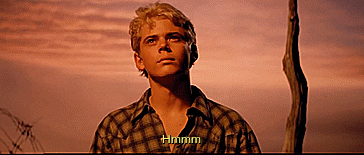 ponyboy curtis,ponyboy,80s,1980s,1983,ralph macchio,outsiders,francis ford coppola,80s movie,c thomas howell,johnny cade,thomas howell,nothing gold can stay,80s quote,the oursiders