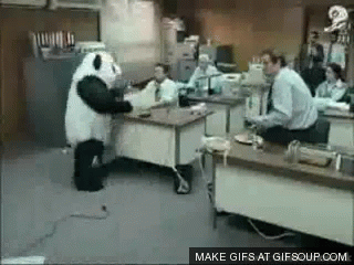 panda,keyboard