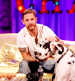 tom hardy,interview,dogs,lauren,hardy,hardyedit,alan carr,dragqueeneames,kinghardy,best quality i could get im afraid