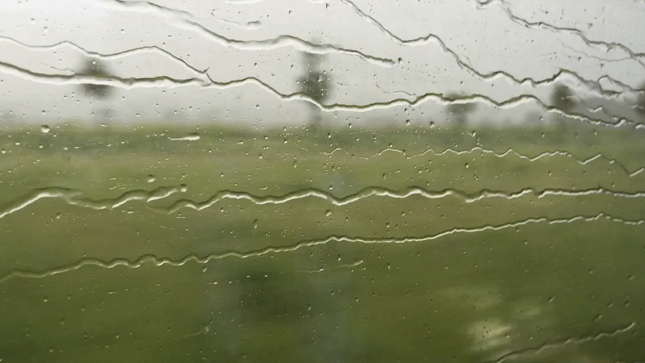 train,trains,raining
