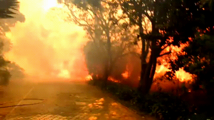 wildfire,africa,south,homes,first20140620celia