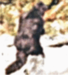bigfoot,but this one is slightly different anyway