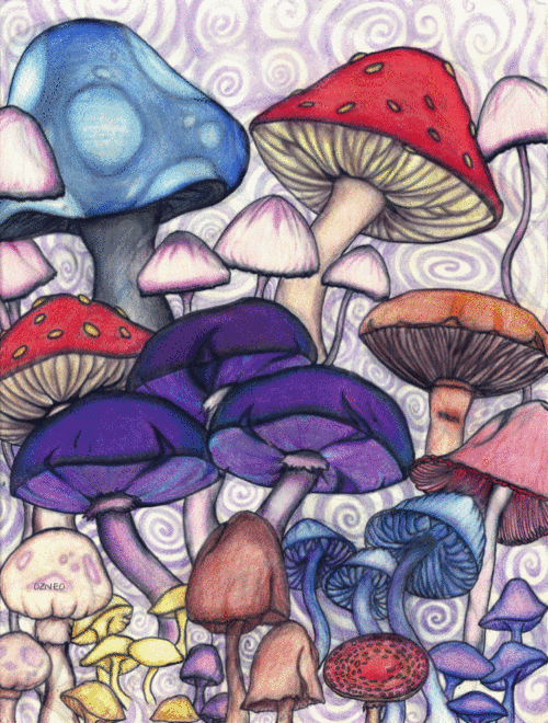 psychedelic,shrooms,tripping,mushrooms,please dont kill me