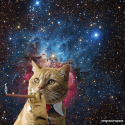space,smoking,space cat