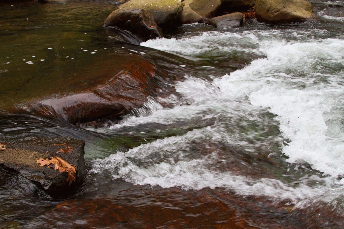 Вода бежит с ручьями споря. Анимированная река. Текущая вода. Течение воды. В течении реки.