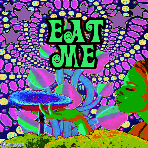 psychedelic,mushroom,distort,trippy,color,eat,visual,zoom,shift,me,takarazuka