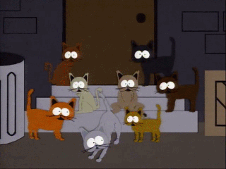 cat orgy,cat,season 3,south park,cartoons comics