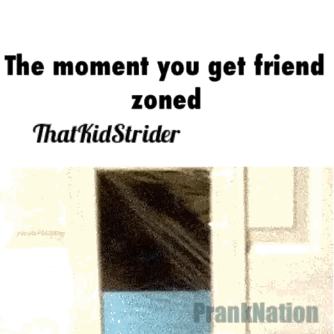 friend zoned,cat,confused,moment,bay,doggy door