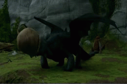 toothless,how to train your dragon,hiccup,dragon
