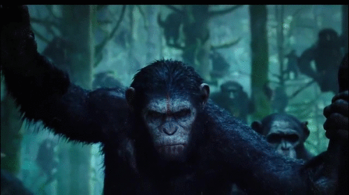 planet of the apes,movies,films,2014,trailers