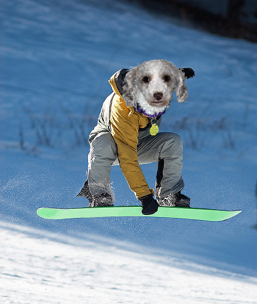 snowboarding