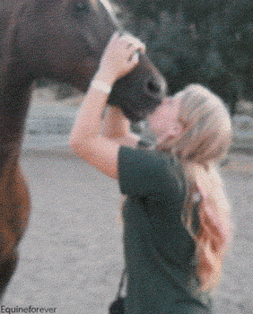 kiss,horse,string,love,equestrian,equine,string um blue