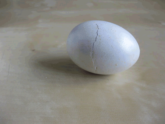 Яйца. Титановые яйца. Яйцо белое. Металлические яйца.