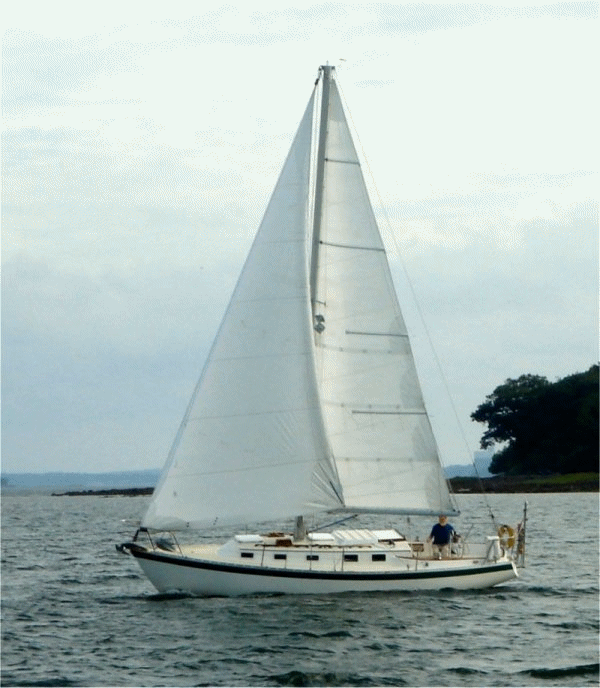 sail yacht gif