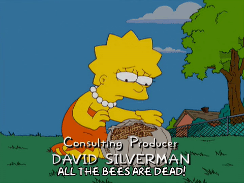 bees,lisa simpson,sad,episode 8,season 20,lisa,20x08,distressed