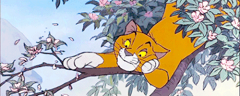 Image result for aristocats gifs