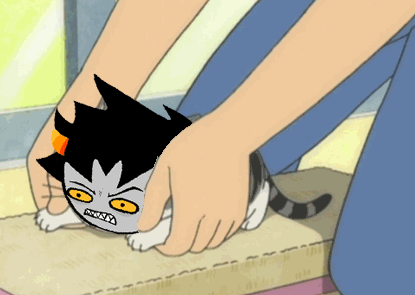 homestuck,funny,cute,kawaii,karkat vantas,kitty cat,hes cute,karkitty,homestuck funny,please take your seats this is an important event,mom we did it