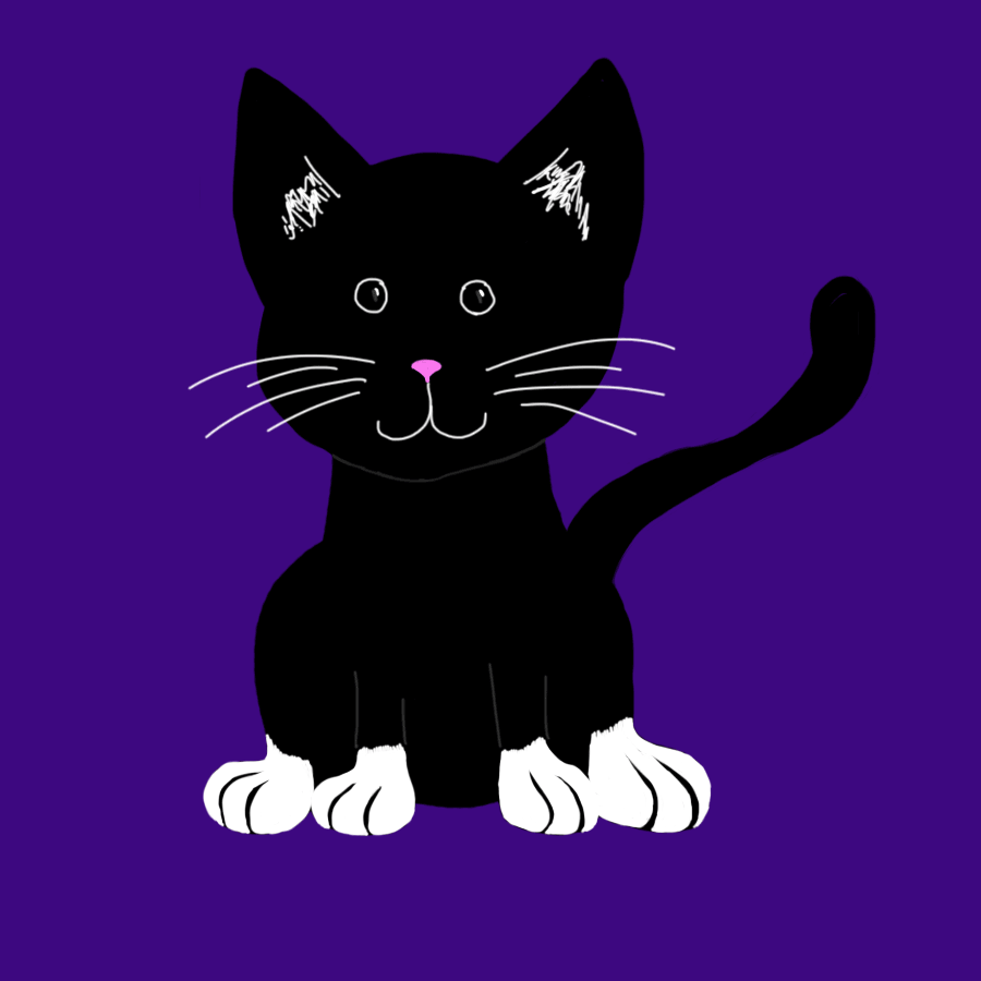 Кошечка гифка. Кошка гиф. Анимированные котики. Черные коты рисунки. Анимированная кошка.