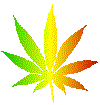 marijuana,twisted,weed,pot,images,submissions