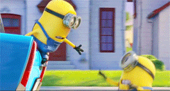 oops,minions,catch,despicable me