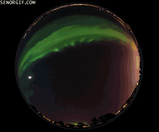 aurora borealis,win,green,science,space,colorful,timelapse,art design