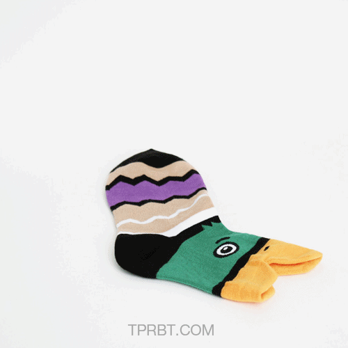 sock,animals,bird,bye,duck